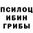 Псилоцибиновые грибы Psilocybe Olgatale :3