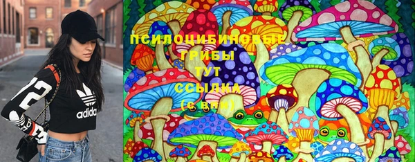 эйфоретик Горнозаводск