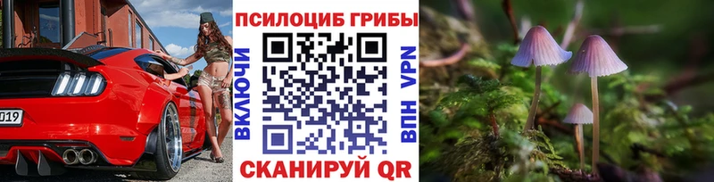 Псилоцибиновые грибы Cubensis  Пугачёв 