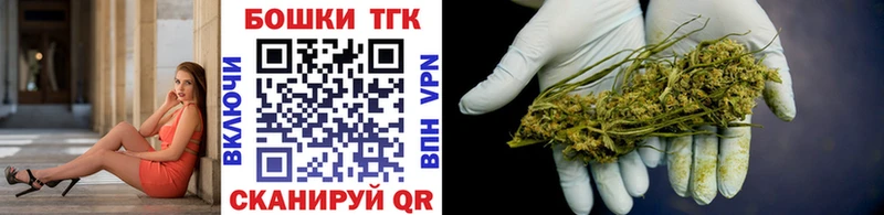 Бошки Шишки план  Пугачёв 